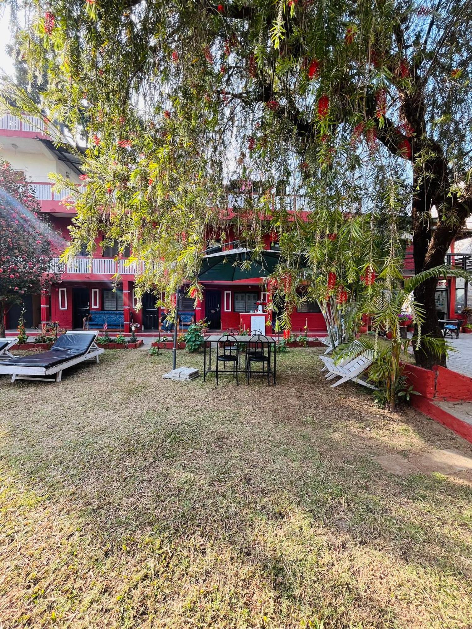 Butterfly Lodge Pokhara Zewnętrze zdjęcie